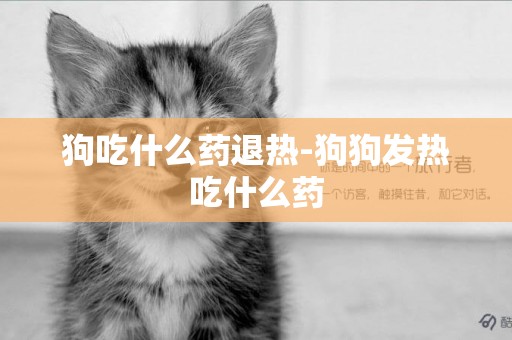 狗吃什么藥退熱-狗狗發熱吃什么藥