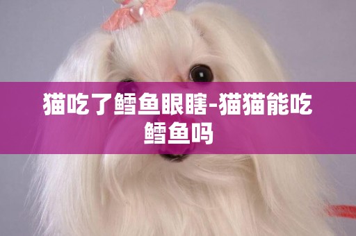 貓吃了鱈魚眼瞎-貓貓能吃鱈魚嗎