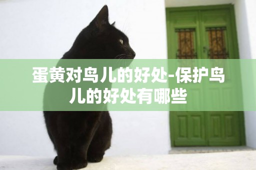蛋黃對鳥兒的好處-保護鳥兒的好處有哪些