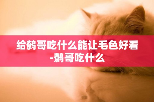 給鷯哥吃什么能讓毛色好看-鷯哥吃什么