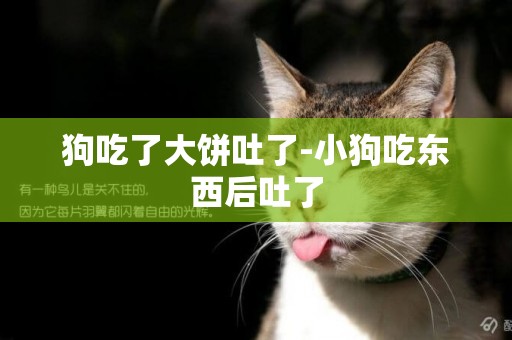 狗吃了大餅吐了-小狗吃東西后吐了