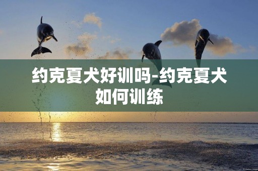 約克夏犬好訓嗎-約克夏犬如何訓練