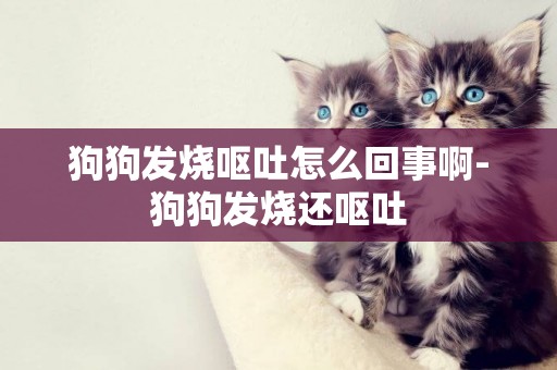 狗狗發燒嘔吐怎么回事啊-狗狗發燒還嘔吐