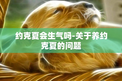 約克夏會生氣嗎-關于養約克夏的問題