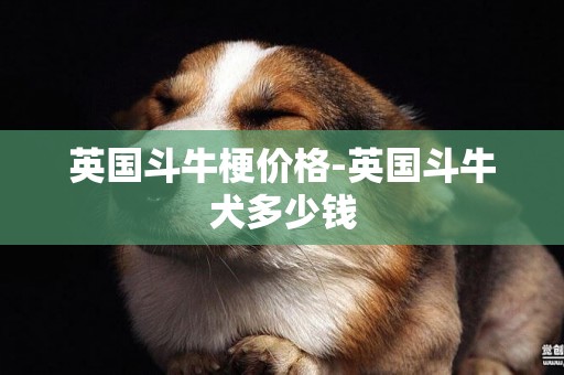 英國斗牛梗價格-英國斗牛犬多少錢