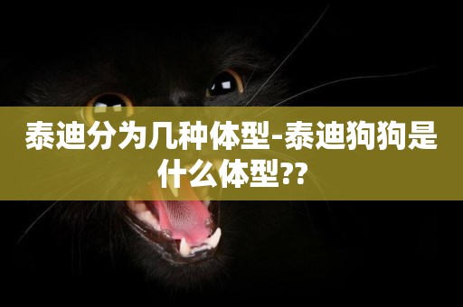 泰迪分為幾種體型-泰迪狗狗是什么體型??
