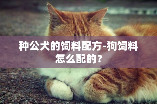 種公犬的飼料配方-狗飼料怎么配的？