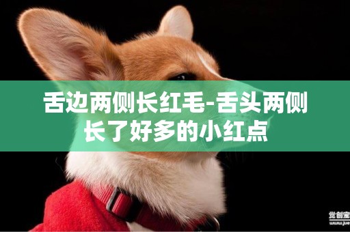 舌邊兩側長紅毛-舌頭兩側長了好多的小紅點