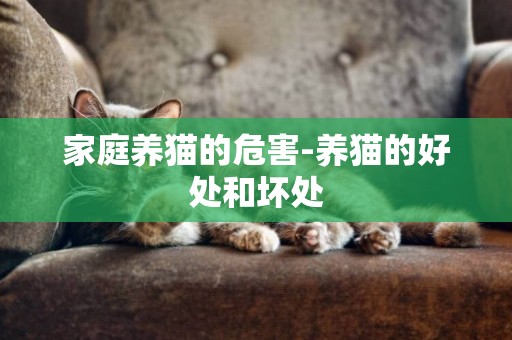 家庭養貓的危害-養貓的好處和壞處