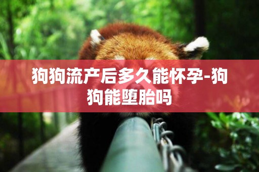 狗狗流產后多久能懷孕-狗狗能墮胎嗎