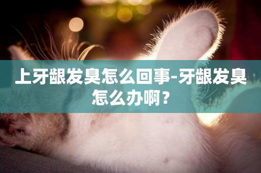上牙齦發臭怎么回事-牙齦發臭怎么辦啊？