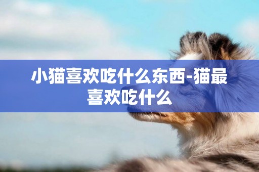 小貓喜歡吃什么東西-貓最喜歡吃什么