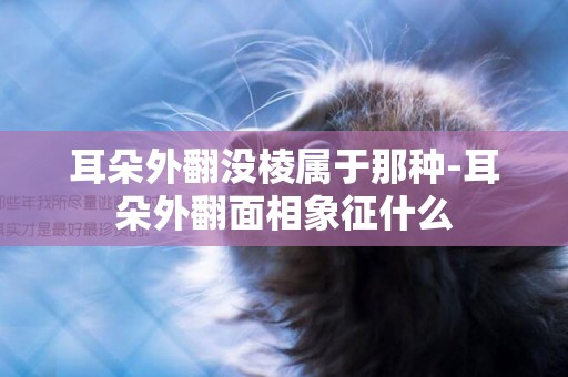 耳朵外翻沒棱屬于那種-耳朵外翻面相象征什么