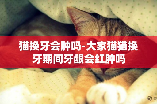 貓換牙會腫嗎-大家貓貓換牙期間牙齦會紅腫嗎