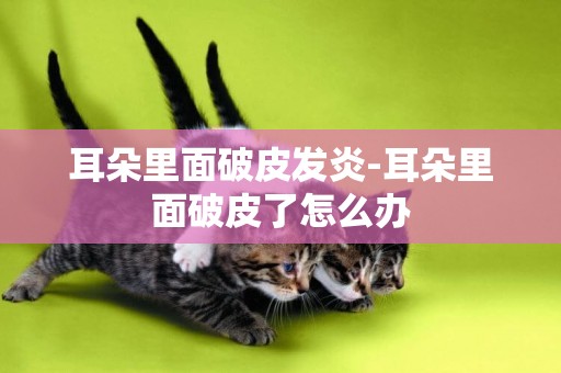 耳朵里面破皮發炎-耳朵里面破皮了怎么辦