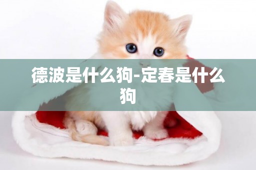 德波是什么狗-定春是什么狗