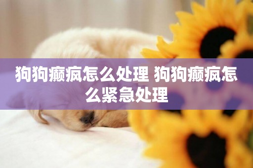 狗狗癲瘋怎么處理 狗狗癲瘋怎么緊急處理