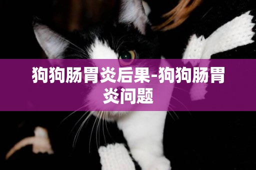 狗狗腸胃炎后果-狗狗腸胃炎問題
