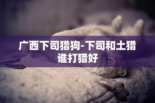 廣西下司獵狗-下司和土獵誰打獵好