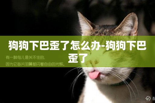 狗狗下巴歪了怎么辦-狗狗下巴歪了