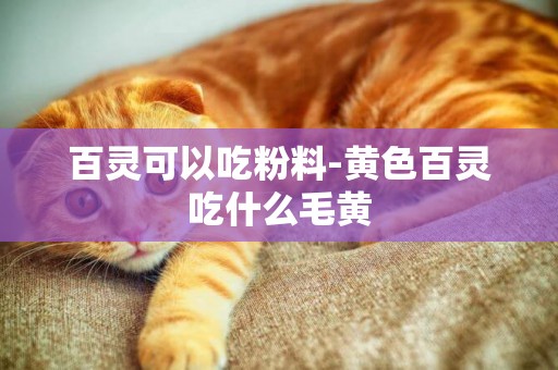 百靈可以吃粉料-黃色百靈吃什么毛黃