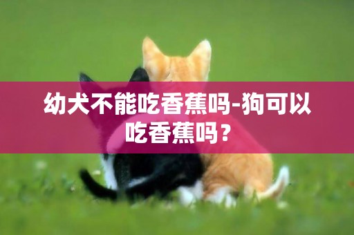 幼犬不能吃香蕉嗎-狗可以吃香蕉嗎？