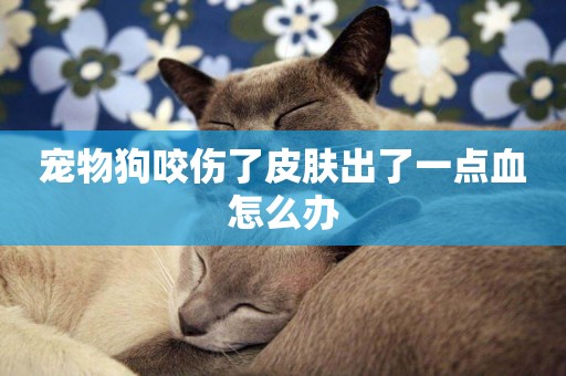 寵物狗咬傷了皮膚出了一點血怎么辦