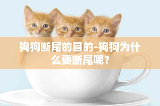 狗狗斷尾的目的-狗狗為什么要斷尾呢？