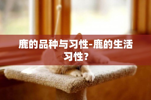 鹿的品種與習性-鹿的生活習性？