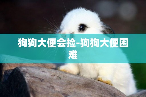 狗狗大便會撿-狗狗大便困難