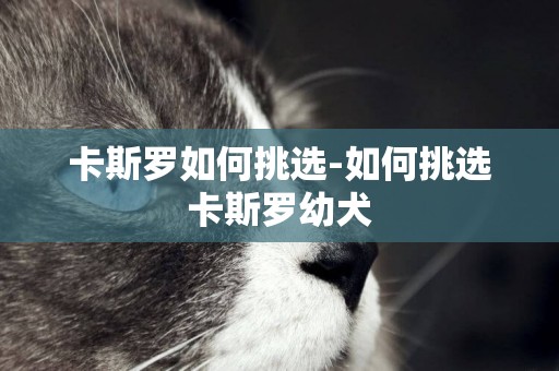 卡斯羅如何挑選-如何挑選卡斯羅幼犬
