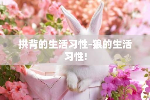 拱背的生活習性-狼的生活習性!