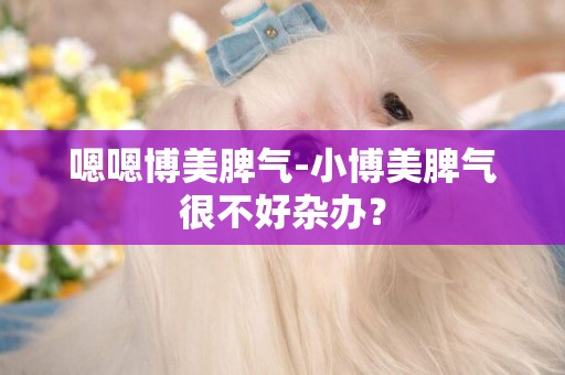 嗯嗯博美脾氣-小博美脾氣很不好雜辦？
