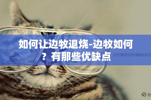 如何讓邊牧退燒-邊牧如何？有那些優缺點