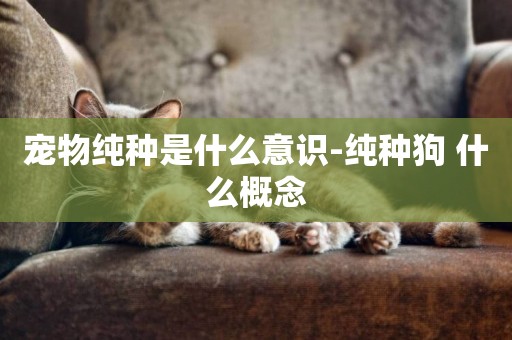 寵物純種是什么意識-純種狗 什么概念