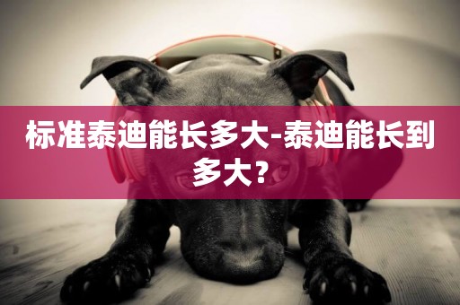 標準泰迪能長多大-泰迪能長到多大？