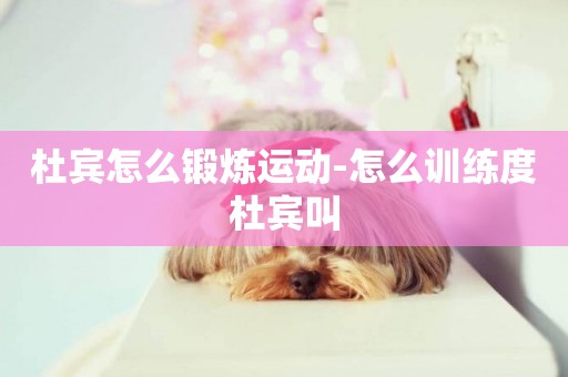 杜賓怎么鍛煉運動-怎么訓練度杜賓叫