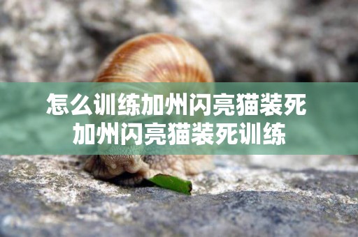 怎么訓練加州閃亮貓裝死 加州閃亮貓裝死訓練