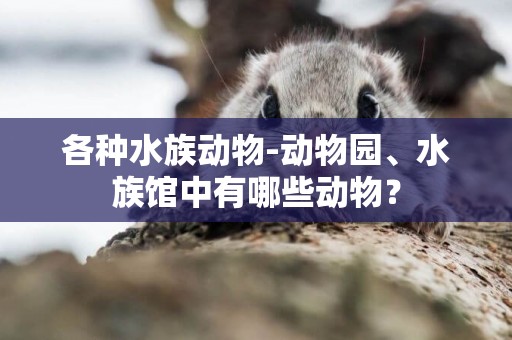 各種水族動物-動物園、水族館中有哪些動物？