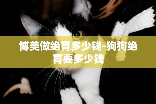 博美做絕育多少錢-狗狗絕育要多少錢