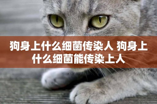 狗身上什么細菌傳染人 狗身上什么細菌能傳染上人