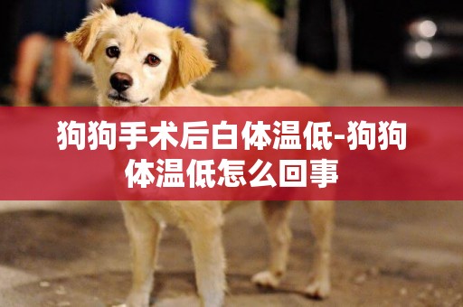 狗狗手術后白體溫低-狗狗體溫低怎么回事