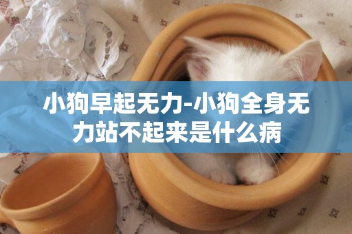 小狗早起無力-小狗全身無力站不起來是什么病