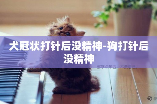 犬冠狀打針后沒精神-狗打針后沒精神
