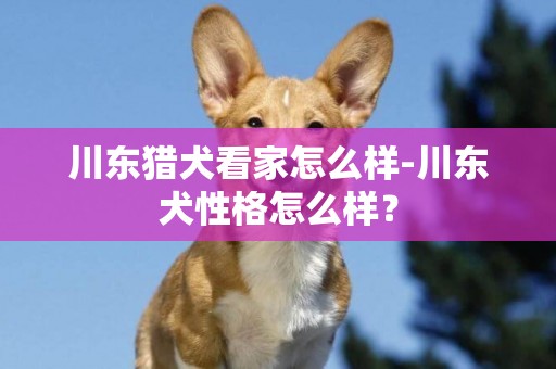 川東獵犬看家怎么樣-川東犬性格怎么樣？