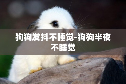 狗狗發抖不睡覺-狗狗半夜不睡覺