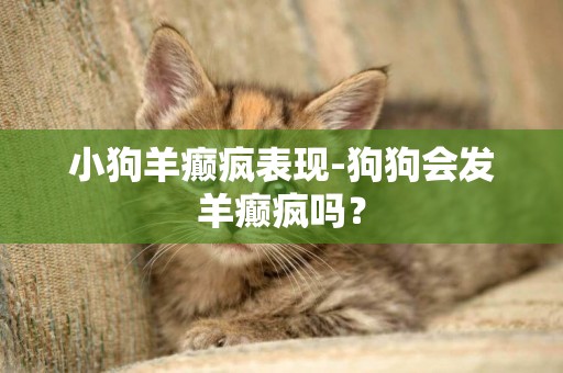 小狗羊癲瘋表現-狗狗會發羊癲瘋嗎？