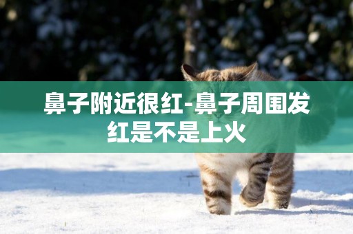 鼻子附近很紅-鼻子周圍發紅是不是上火