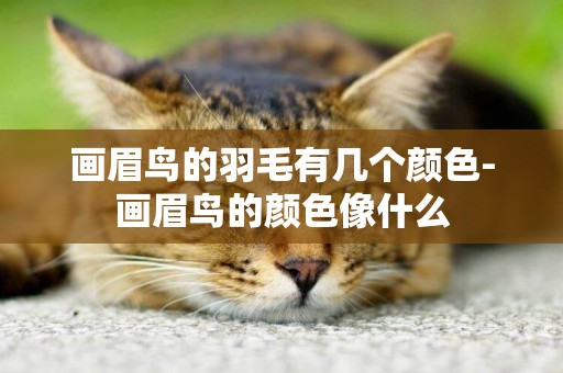 畫眉鳥的羽毛有幾個顏色-畫眉鳥的顏色像什么