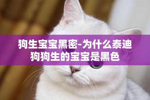 狗生寶寶黑密-為什么泰迪狗狗生的寶寶是黑色